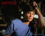 Anitis the super photos - Foto - Smallville, Salvame: Smallville,salvame
